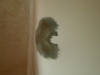 Tub Refinishing in Richmond Virginia