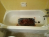 Bathtub Refinishing Richmond VA